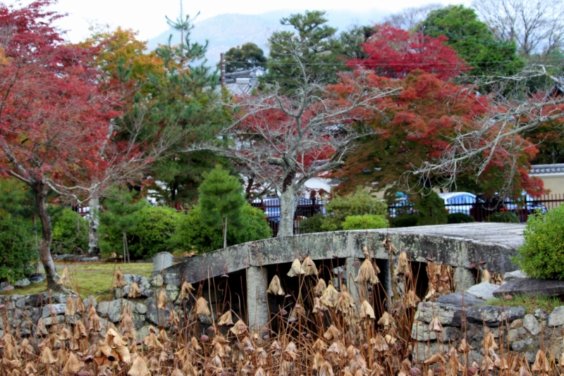 Момидзи 2015. Tokyo-Nikko-Hakone-Osaka-Kyoto-Nara-Himeji-Okayama-Kurashiki-Koyasan-Tokyo