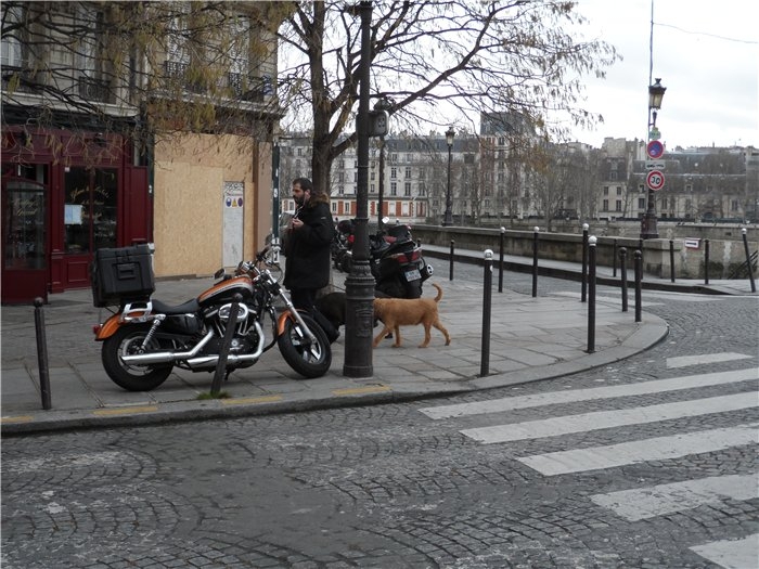 Франция-Голландия-Германия зимой 2014 г.