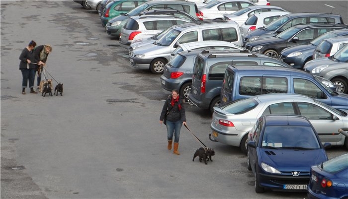 Франция-Голландия-Германия зимой 2014 г.