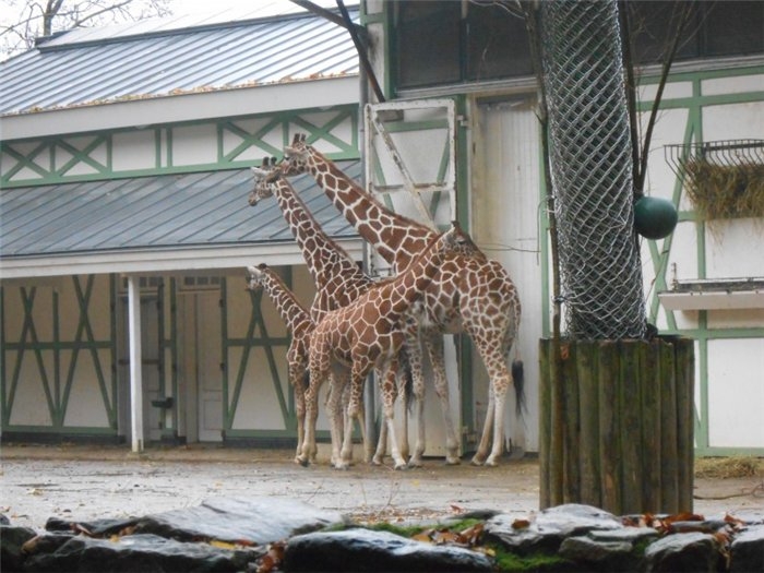 Франция-Голландия-Германия зимой 2014 г.