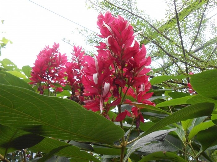 Франция-Голландия-Германия зимой 2014 г.