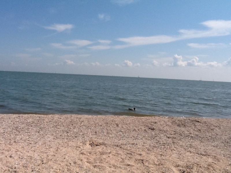 Франция-Голландия-Германия зимой 2014 г.