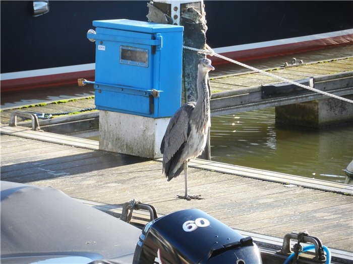 Франция-Голландия-Германия зимой 2014 г.