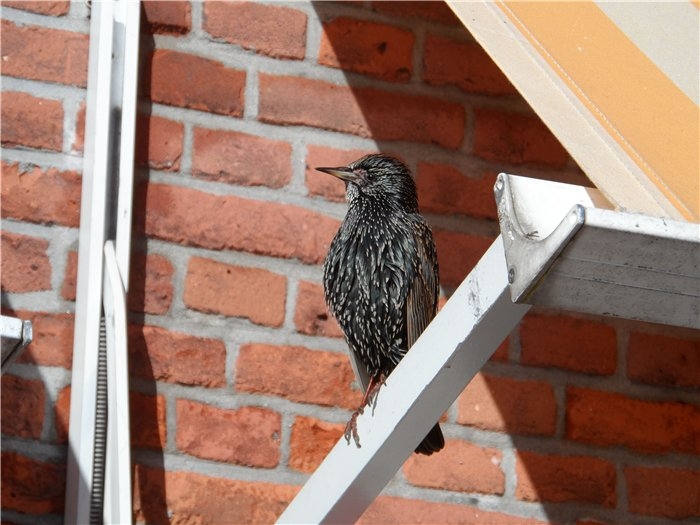 Франция-Голландия-Германия зимой 2014 г.