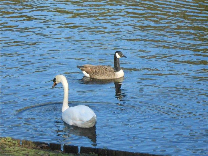 Франция-Голландия-Германия зимой 2014 г.