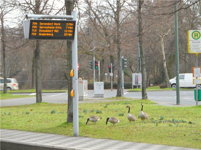 Франция-Голландия-Германия зимой 2014 г.