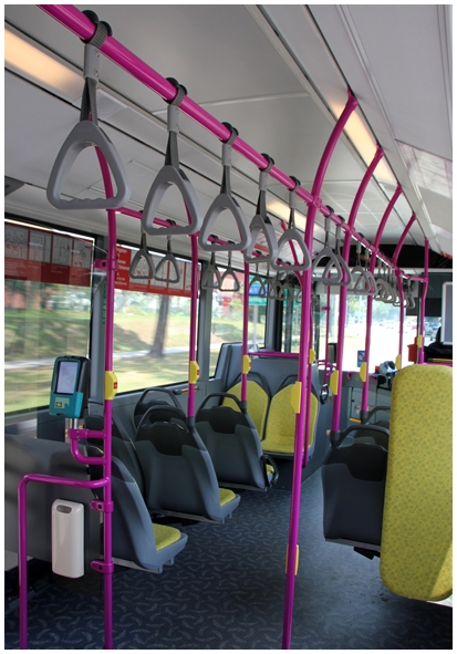 Двенадцать дней осени в городе вечного лета