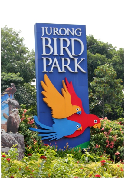 Двенадцать дней осени в городе вечного лета