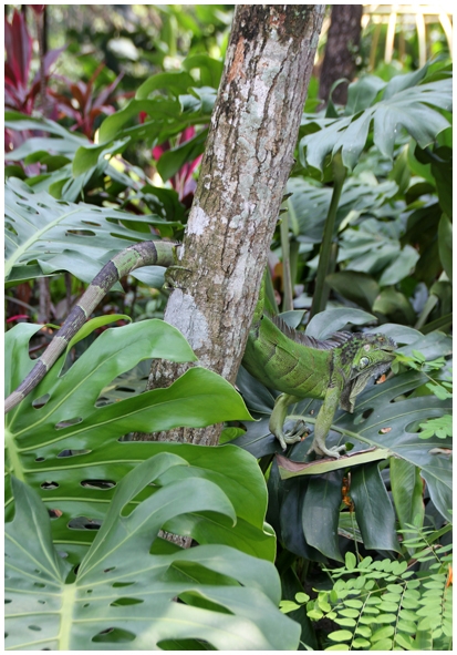Двенадцать дней осени в городе вечного лета