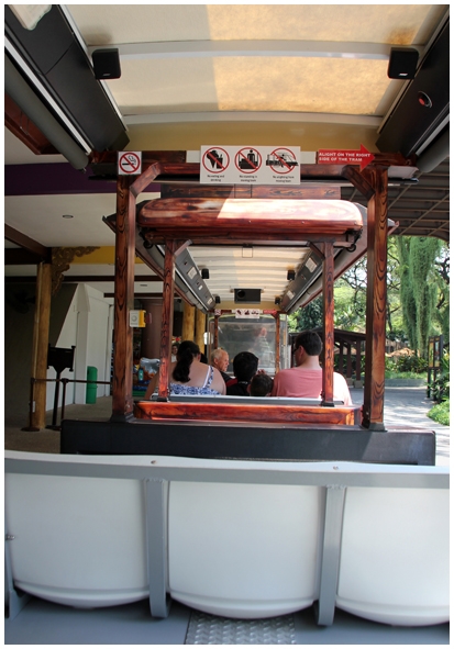 Двенадцать дней осени в городе вечного лета