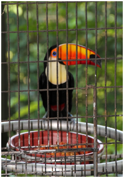 Двенадцать дней осени в городе вечного лета