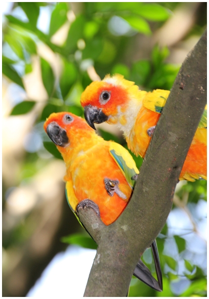 Двенадцать дней осени в городе вечного лета