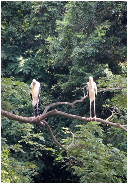 Двенадцать дней осени в городе вечного лета