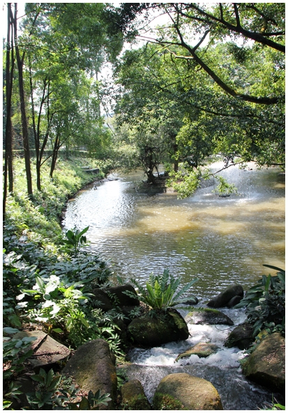 Двенадцать дней осени в городе вечного лета