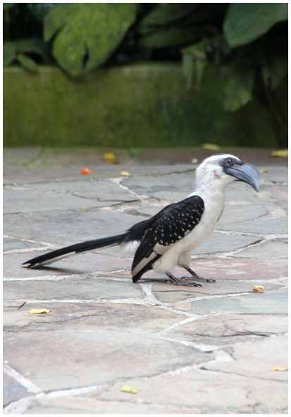 Двенадцать дней осени в городе вечного лета