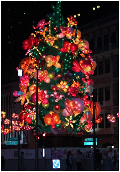 Двенадцать дней осени в городе вечного лета