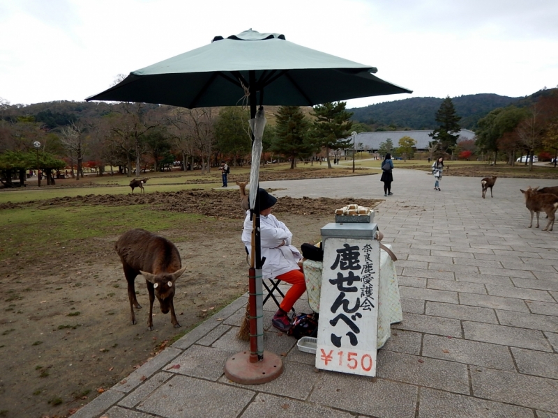 Момидзи 2015. Tokyo-Nikko-Hakone-Osaka-Kyoto-Nara-Himeji-Okayama-Kurashiki-Koyasan-Tokyo