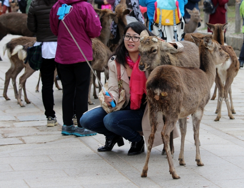 Момидзи 2015. Tokyo-Nikko-Hakone-Osaka-Kyoto-Nara-Himeji-Okayama-Kurashiki-Koyasan-Tokyo