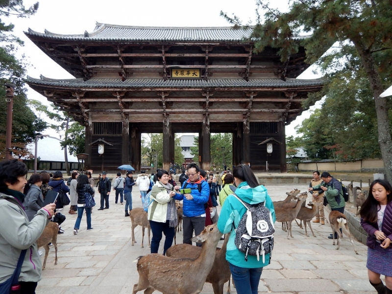 Момидзи 2015. Tokyo-Nikko-Hakone-Osaka-Kyoto-Nara-Himeji-Okayama-Kurashiki-Koyasan-Tokyo