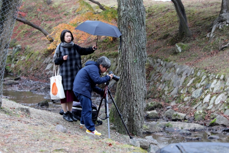 Момидзи 2015. Tokyo-Nikko-Hakone-Osaka-Kyoto-Nara-Himeji-Okayama-Kurashiki-Koyasan-Tokyo