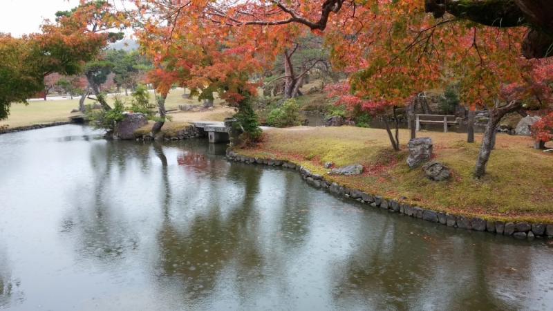 Момидзи 2015. Tokyo-Nikko-Hakone-Osaka-Kyoto-Nara-Himeji-Okayama-Kurashiki-Koyasan-Tokyo