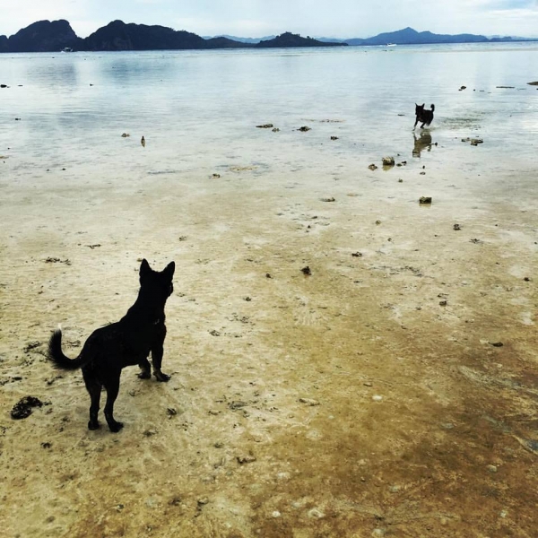 Koh Kradan - бирюзовый рай (80 фото)