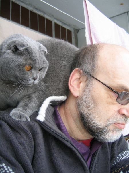 Поговорим о кошках38