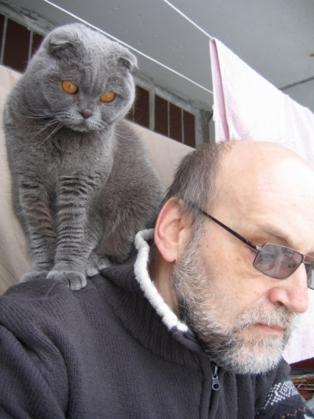 Поговорим о кошках38