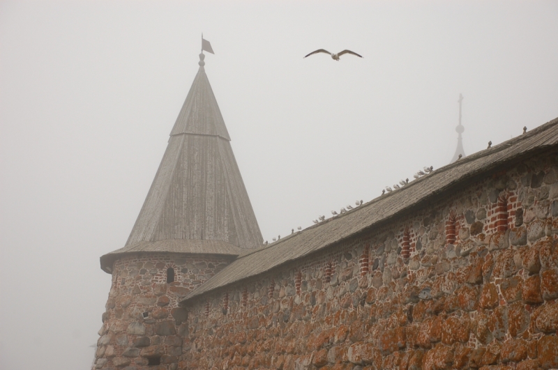 Открываем для себя Карелию и Соловки (июль 2015 г.)