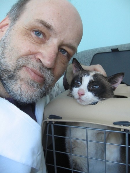 Поговорим о кошках38