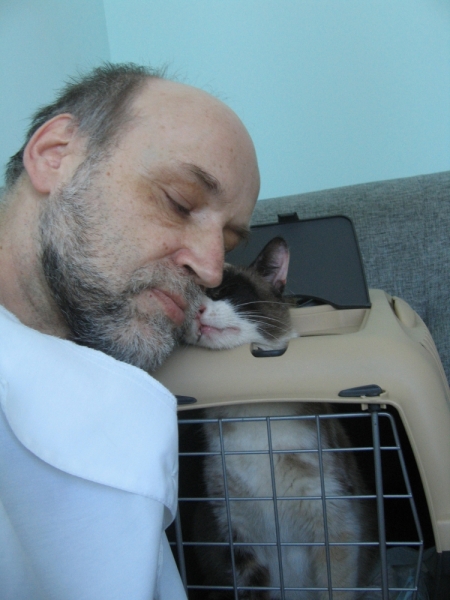 Поговорим о кошках38