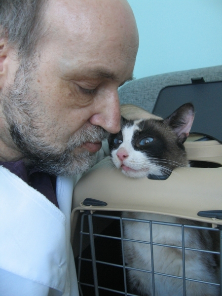 Поговорим о кошках38