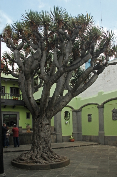 Gran Canaria ¡Hasta luego!