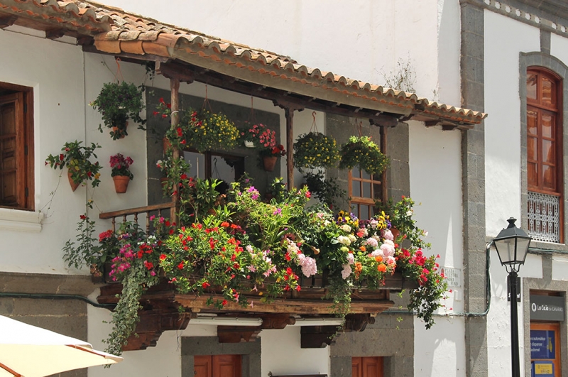 Gran Canaria ¡Hasta luego!