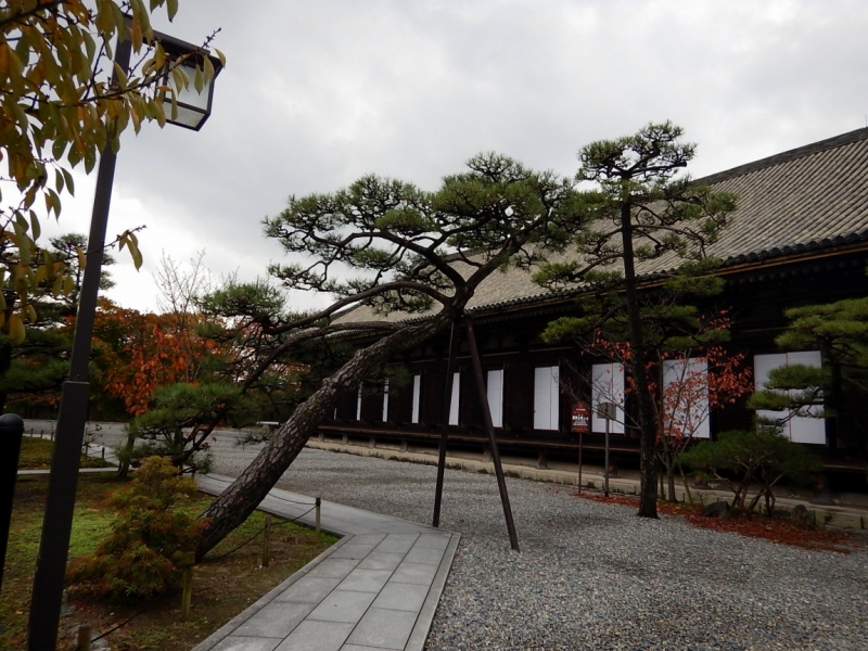 Момидзи 2015. Tokyo-Nikko-Hakone-Osaka-Kyoto-Nara-Himeji-Okayama-Kurashiki-Koyasan-Tokyo