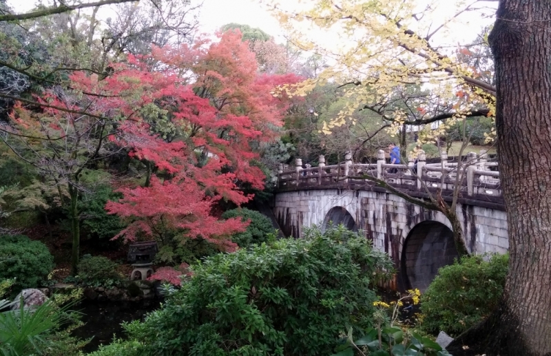 Момидзи 2015. Tokyo-Nikko-Hakone-Osaka-Kyoto-Nara-Himeji-Okayama-Kurashiki-Koyasan-Tokyo