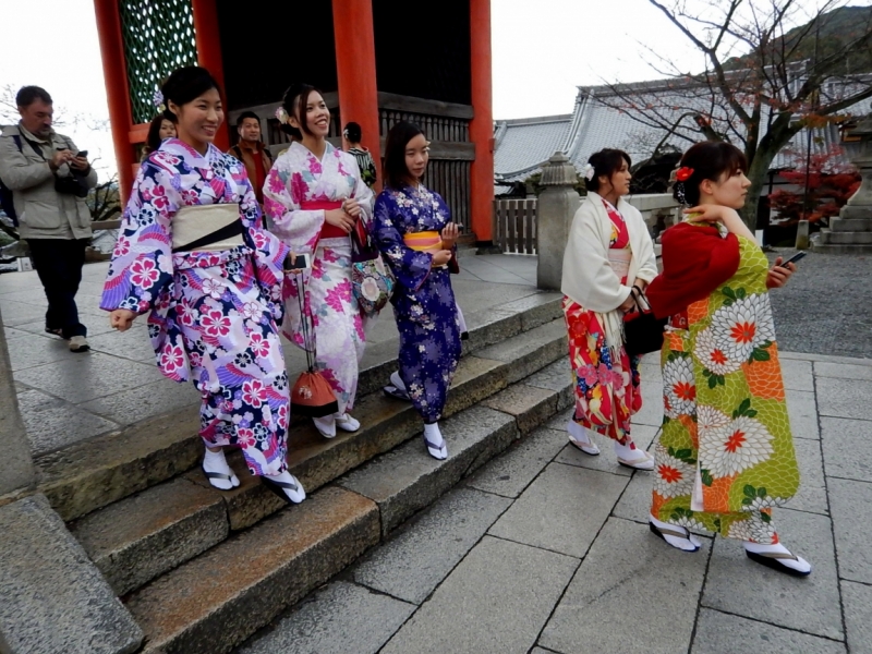 Момидзи 2015. Tokyo-Nikko-Hakone-Osaka-Kyoto-Nara-Himeji-Okayama-Kurashiki-Koyasan-Tokyo