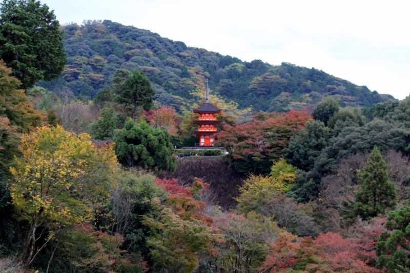 Момидзи 2015. Tokyo-Nikko-Hakone-Osaka-Kyoto-Nara-Himeji-Okayama-Kurashiki-Koyasan-Tokyo