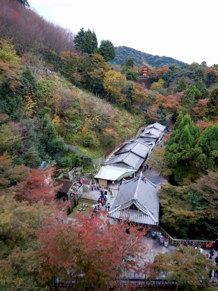 Момидзи 2015. Tokyo-Nikko-Hakone-Osaka-Kyoto-Nara-Himeji-Okayama-Kurashiki-Koyasan-Tokyo