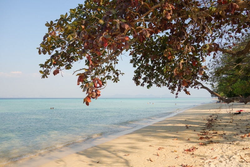 Koh Kradan - бирюзовый рай (80 фото)