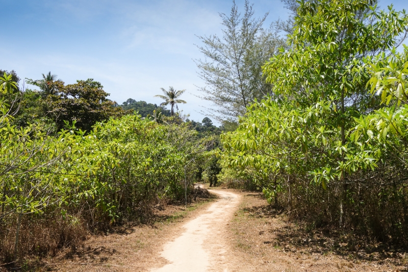 Koh Kradan - бирюзовый рай (80 фото)