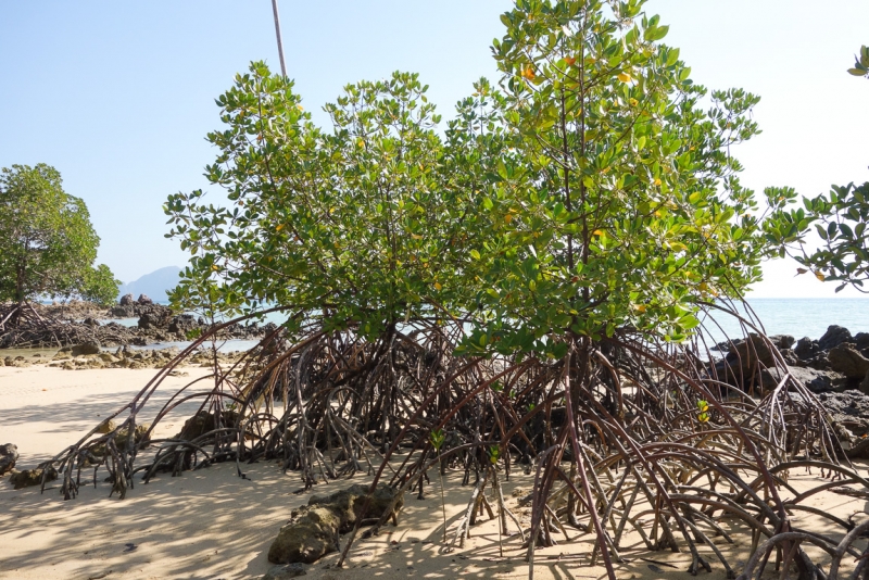 Koh Kradan - бирюзовый рай (80 фото)