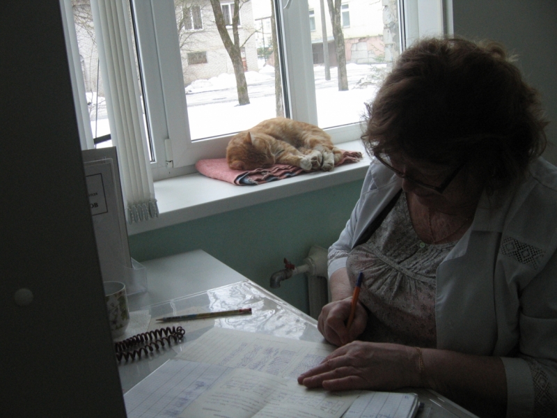 Поговорим о кошках38