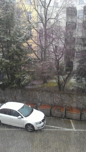 Мюнхен, Март, командировка...