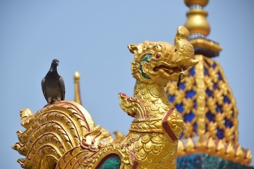 Что посмотреть на острове Самуи