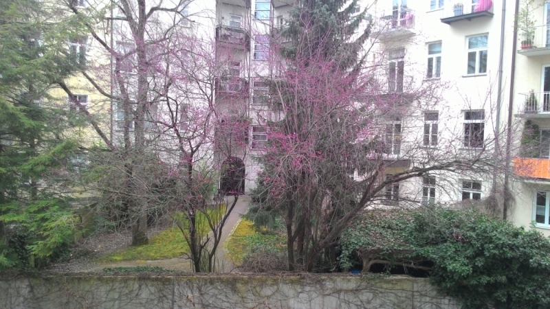 Мюнхен, Март, командировка...