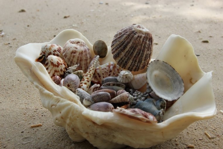 Филиппины на троих: февраль-март 2016 (Эль-Нидо,Ослоб, Бохоль)