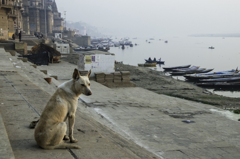 Varanasi 2