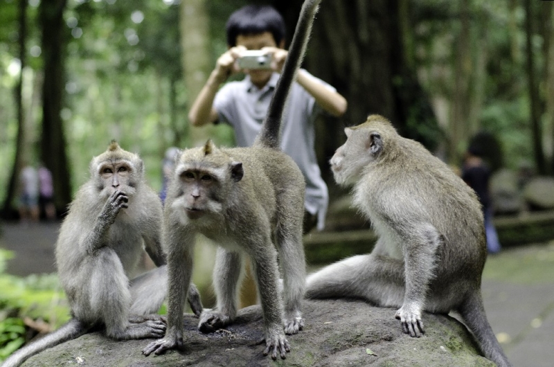 Ассоциации и фотовпечатления: Бали и капелька Ломбока