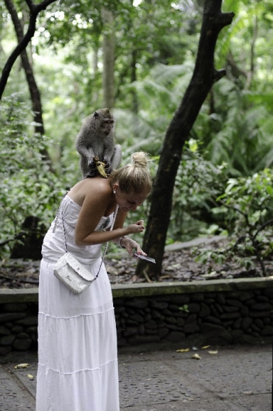 Ассоциации и фотовпечатления: Бали и капелька Ломбока